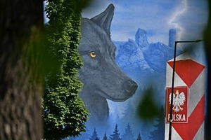  Mural przestawiający wilka, zamek, kontur Polski