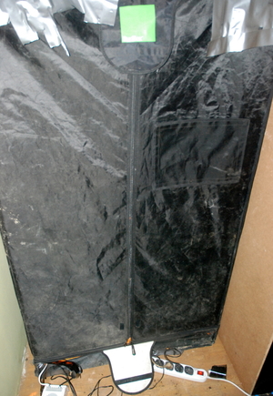 szafa do uprawy konopi