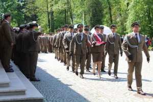 Regionalne Obchody Dni Lasu 