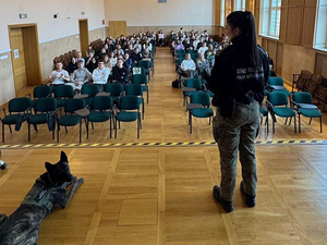 Pies Straży Granicznej spogląda w kierunku kamery, przed nim na krzesłach siedzi młodzież uczestnicząca w prelekcji z prawej strony stoi funkcjonariuszka SG. Pies Straży Granicznej spogląda w kierunku kamery, przed nim na krzesłach siedzi młodzież uczestnicząca w prelekcji z prawej strony stoi funkcjonariuszka SG.