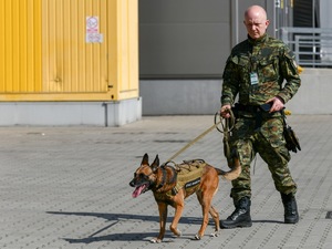  Pies służbowy Easy i jej przewodnik podczas wykonywania obowiązków na lotniku w Katowicach- Pyrzowicach