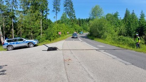  Z lewej samochód Policji, z prawej na poboczu stoi policjant, przed nim rozwinięta kolczatka. W kierunku kolczatki nadjeżdża ścigany pojazd.