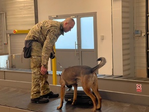  Pies i jego opiekun. Lotnisko Katowice. Taśma bagażowa.