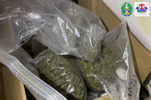  Zatrzymano narkotyki o wartości około 340.000 zł