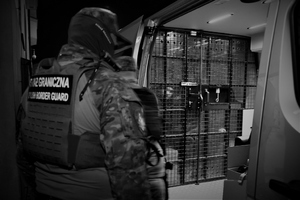  Zatrzymanie nielegalnie przebywających cudzoziemców