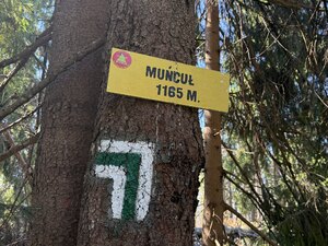 Funkcjonariusze wspinający się na szczyty: Muńcuł – 1165 m n.p.m. oraz Wielką Rycerzową – 1226 m n.p.m..