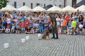 Piknik Służb Mundurowych 